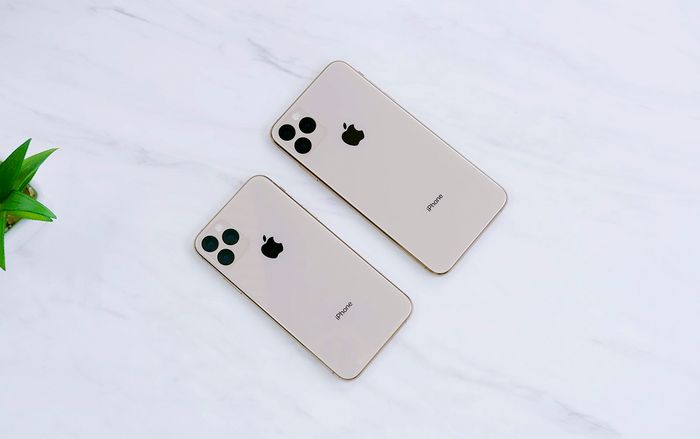 Không chỉ ‘siêu to khổng lồ’, cụm camera trên iPhone 11 còn gây ám ảnh cho những ai sợ lỗ