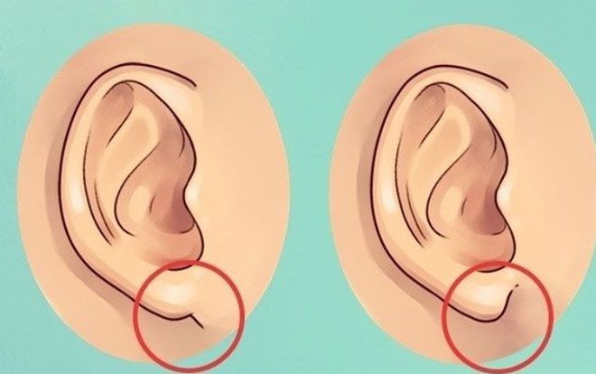 Xem tướng tai biết ngay ai giàu sang phú quý, ai có cuộc đời long đong, lận đận