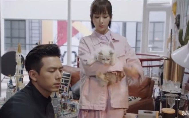 'Cá mực hầm mật' tập 19 + 20: Hàn Thương Ngôn xuất hiện ở buổi ký tặng của Đồng niên, Tôn Á Á gặp Tiểu Mễ