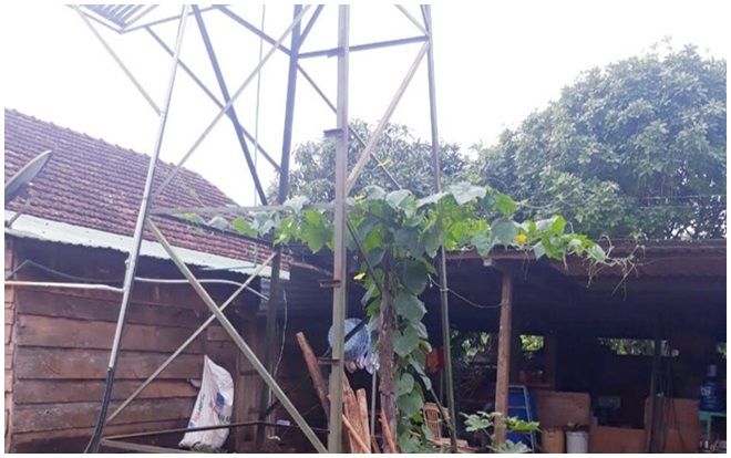 Nghệ An: Chủ tịch hội nông dân xã bị điện giật tử vong