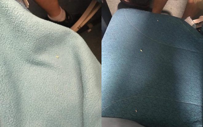 Bị khách phản ánh trong chăn có giòi, hãng hàng không Vietnam Airlines lên tiếng: ‘Chúng tôi đã thu hồi và gửi mẫu vật để xét nghiệm'