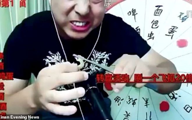 Đang livestream ăn rết và tắc kè sống, nam vlogger chết tức tưởi