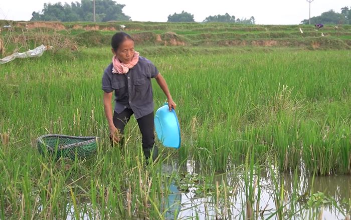 Bà Tân Vlog khiến dân mạng phát cuồng vì cách làm Vlog mới