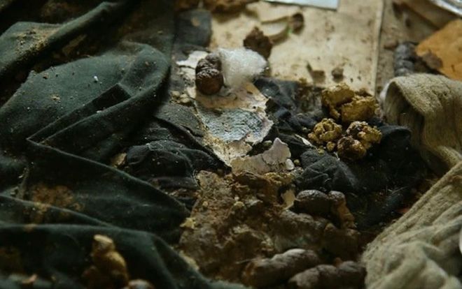 Hãi hùng trước căn nhà ngập ngụa rác, không hề lau dọn suốt 5 năm trời