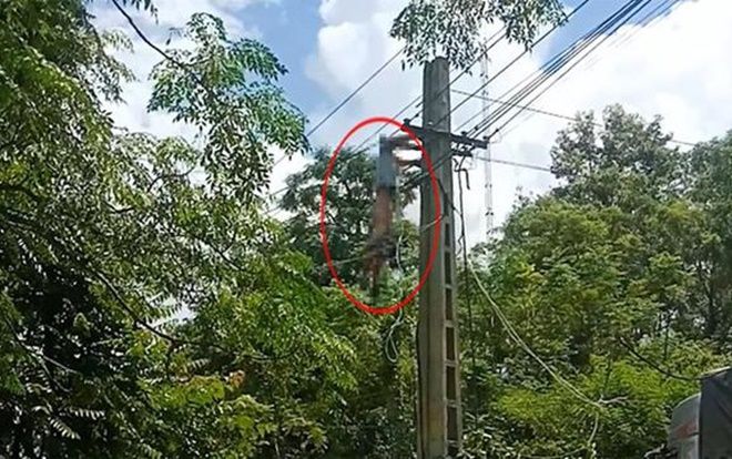 Gỡ dây điện vướng trên nóc thùng xe, tài xế ô tô tải bị điện giật treo lơ lửng