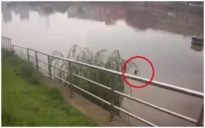 Thấy bà cụ nhảy xuống sông, người qua đường lập tức báo cảnh sát tới cứu nhưng sự thật khiến mọi người 'ngã ngửa'