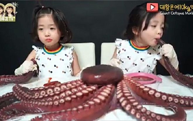 Kênh YouTube Hàn Quốc bị 'ném đá' vì bắt con mình ăn bạch tuộc theo cách phản cảm