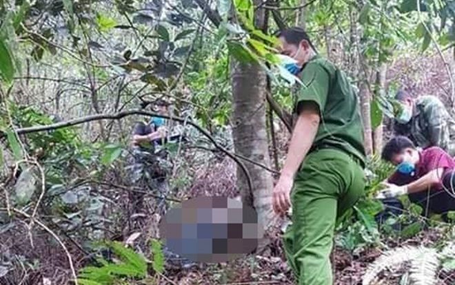 Bàng hoàng phát hiện thi thể đang phân hủy nằm úp mặt xuống đất trong rừng