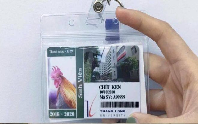 Trường Đại học cấp cả thẻ sinh viên cho… chó và gà, đầy đủ thông tin ngày tháng năm sinh, mã số sinh viên và chuyên ngành