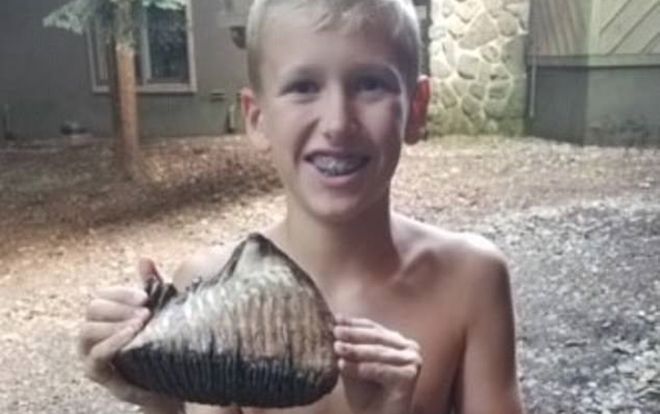 Cậu bé tìm thấy răng hàm của voi ma mút tuyệt chủng cách đây 4.000 năm