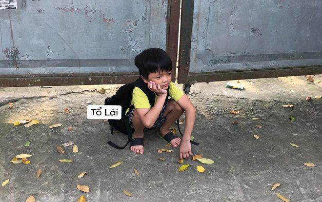 Hình ảnh cậu nhóc bị crush cho leo cây trước cổng trường vào ngày nhập học khiến CĐM bật cười với tình yêu 'chưa kịp nở đã tàn'