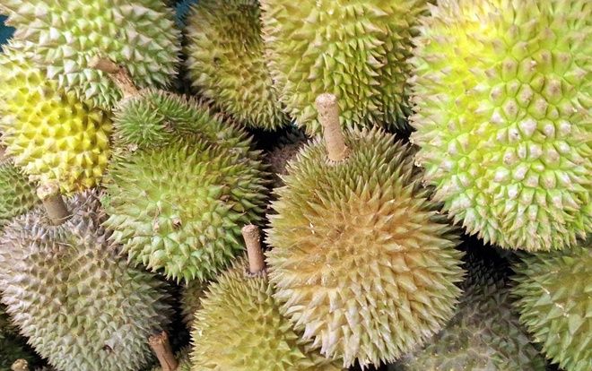 Uống rượu ăn kèm sầu riêng, người đàn ông chết tức tưởi