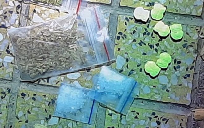 Đột kích quán bar ở Ninh Thuận, phát hiện hơn 50 người dương tính với ma túy