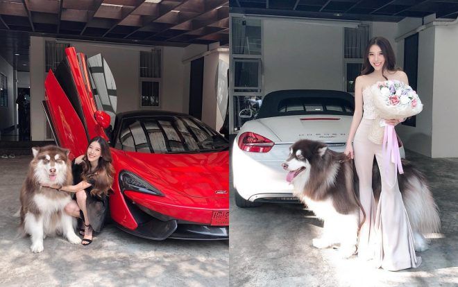 Xuất hiện hotgirl 'sinh ra ở vạch đích', mỗi ngày lái một chiếc siêu xe và còn có chú cún cưng được lòng cả thiên hạ