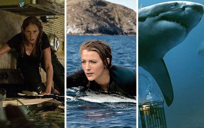 'The Shallows', '47 Meters Down' và 'Crawl': Những cái nhìn khác nhau về dòng phim kinh dị sinh tồn