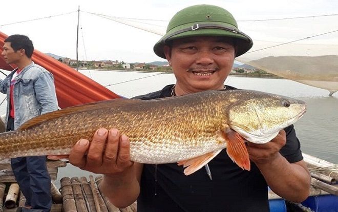 Câu được cá lạ 7kg nghi sủ vàng quý hiếm ở Quảng Bình