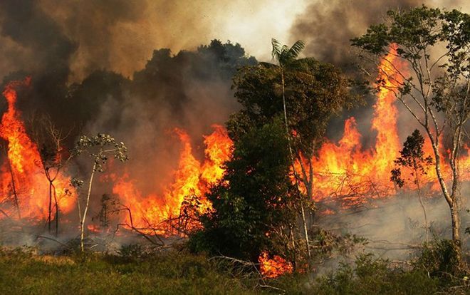 Rừng Amazon cháy suốt 17 ngày qua, khói đen cuồn cuộn trong biển lửa hừng hực
