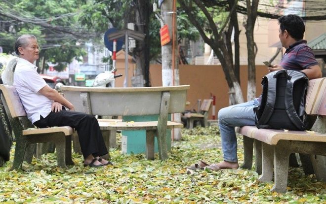 Người Hà Nội ngỡ ngàng trước hàng cây sưa hơn 20 năm tuổi bất ngờ rụng lá phủ kín đường phố ngày đầu thu