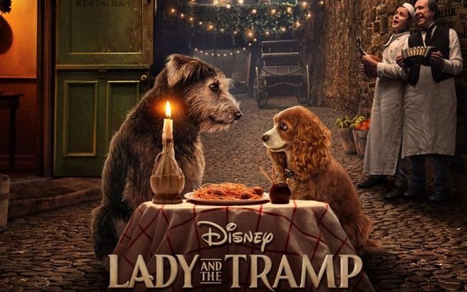‘Lady and the Tramp’ tung trailer giới thiệu hình ảnh đầu tiên về bản live-action chuyện tình lãng mạn của Disney
