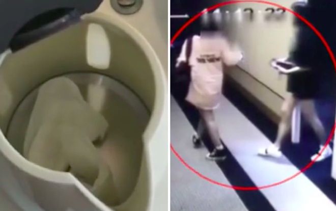 Khách Trung Quốc thừa nhận vứt băng vệ sinh trong ấm nước khách sạn