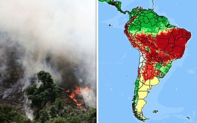 'Ngọn đuốc' rừng Amazon hừng hực cháy hơn nửa tháng, một nửa lãnh thổ Brazil chìm trong biển khói mịt mù