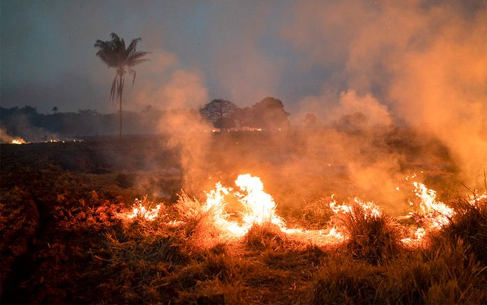 Ronaldo và loạt người nổi tiếng bị tố 'sống ảo' vì đăng nhầm ảnh về vụ cháy rừng Amazon