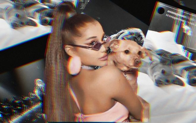 Không tham dự MTV VMAs 2019, Ariana Grande vừa 'chill' với… cún cưng tại gia vừa đăng story ủng hộ màn trình diễn của Miley Cyrus