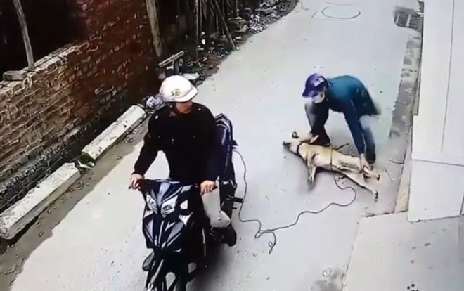 Nam thanh niên bị bắn tử vong khi đuổi theo đối tượng nghi trộm chó