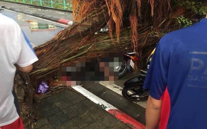 Nam thanh niên bị cây đè tử vong, nhiều người bị thương sau mưa giông kinh hoàng ở Hà Nội