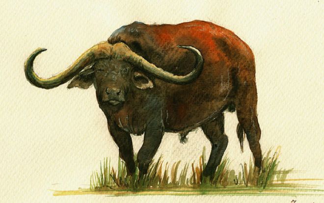 Xem tử vi hôm nay thứ 7 ngày 31/8/2019 của 12 con giáp: Tuổi Mùi mọi chuyện suôn sẻ, Dần hạn chế đi xa