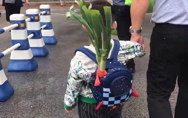 Ông nội bỏ cây hành to vào balo cháu trong ngày đầu tiên đến trường, cộng đồng mạng ‘tâm phục khẩu phục’ khi biết ý nghĩa