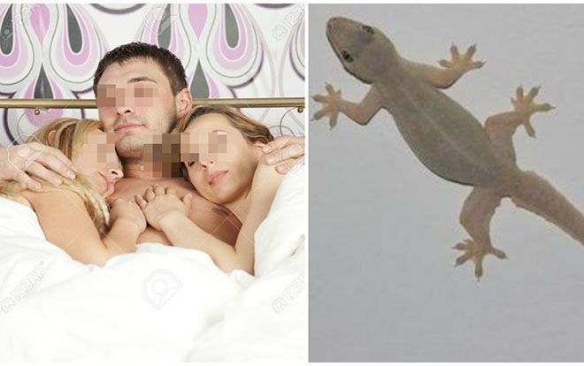 Ngủ cùng hai cô gái một lúc, chàng trai đưa ra lý do khiến ai cũng 'cạn lời'