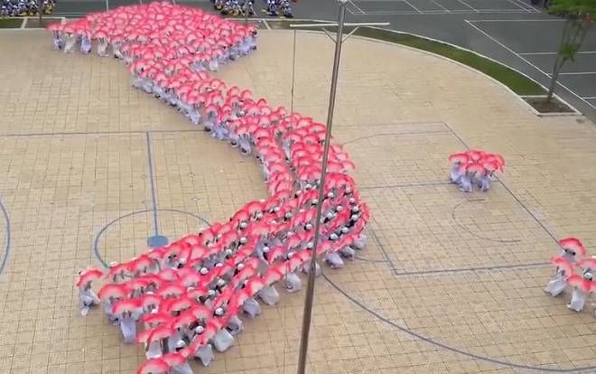 Màn đồng diễn tạo hình bản đồ Việt Nam xuất sắc của học sinh Đồng Nai khiến cộng đồng mạng trầm trồ