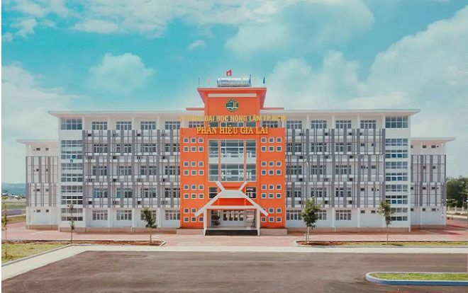 Chiêm ngưỡng toàn cảnh vẻ đẹp khang trang với 2 màu xanh - cam chủ đạo của trường ĐH Nông Lâm TPHCM phân hiệu Gia Lai