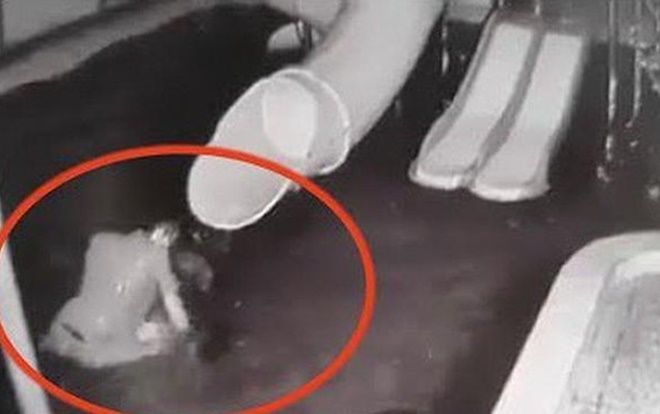 Phẫn nộ clip chồng dìm vợ xuống nước rồi kéo lên tát tới tấp trước sự chứng kiến của con nhỏ