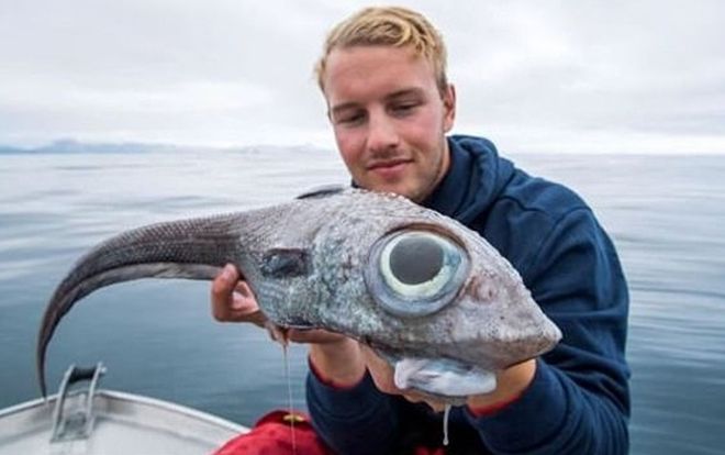 Hết hồn khi câu được con cá kỳ dị 'giống khủng long' với đôi mắt quá to