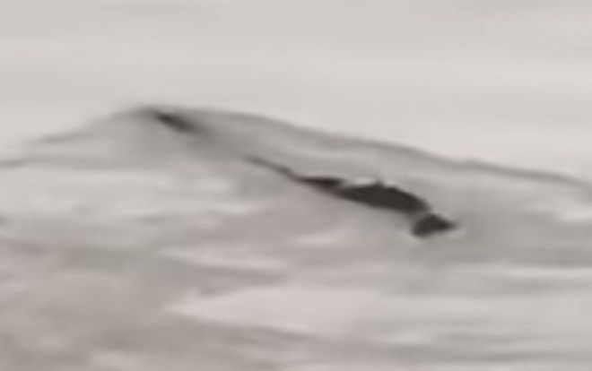 Bí ẩn 'quái vật hồ Loch Ness' phiên bản Trung Quốc