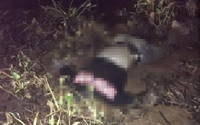 Thanh niên 18 tuổi tử vong bất thường trong rừng đước, bạn gái đến nhà trả điện thoại và nói nạn nhân nhảy cầu tự tử