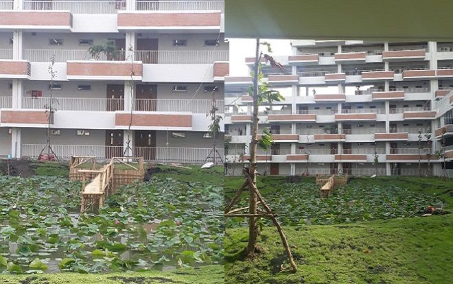 Tâm lý như trường người ta: Biết nữ sinh ưa 'sống ảo', Đại học FPT TP.HCM cho xây dựng hẳn hồ sen xanh mướt ngay trong khuôn viên trường