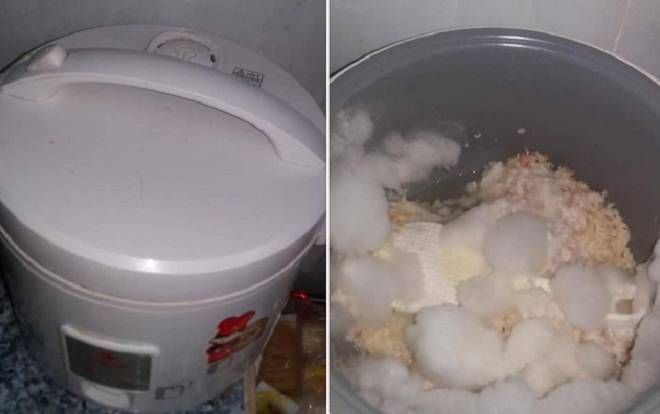 Chàng trai nấu cơm và quên dọn rửa khiến nồi cơm điện nấm mốc tủa bông, khi biết lí do ai ai cũng phì cười cảm thông