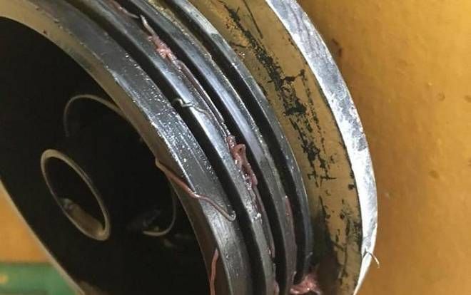 ĐH Kinh tế Quốc dân lên tiếng về vụ sinh viên phản ánh tình trạng giun sán bò loe ngoe quanh lõi lọc nước tại KTX