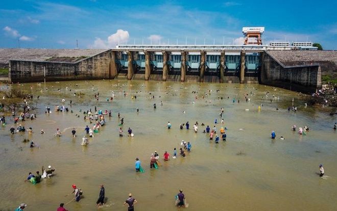 Người dân đổ xô bắt cá ở đập thủy điện Trị An