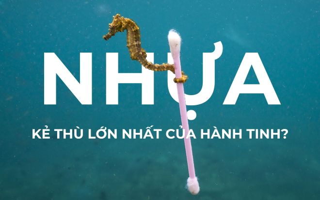 Ống hút nhựa có phải là kẻ thù thật sự của hành tinh này?