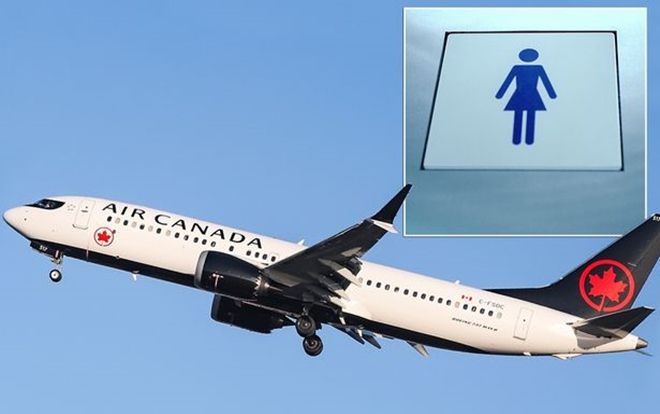 Nữ hành khách bất đắc dĩ 'giải quyết nỗi buồn' ngay trên ghế máy bay vì phản ứng tệ của phi hành đoàn