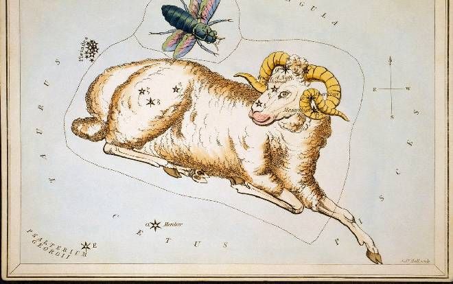 Tử vi hàng ngày 12 cung hoàng đạo thứ 5 ngày 3/10/2019: Song Ngư may mắn về tình cảm, Kim Ngưu nên đề phòng sức khỏe