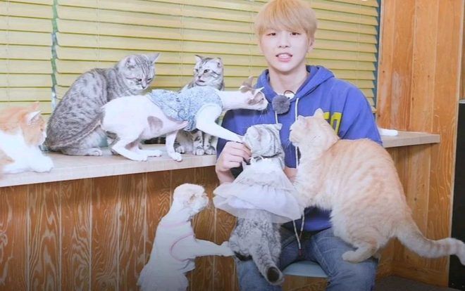 Loạt ảnh chứng minh đến thần tượng như Kang Daniel cũng chỉ là 'con sen' của các boss