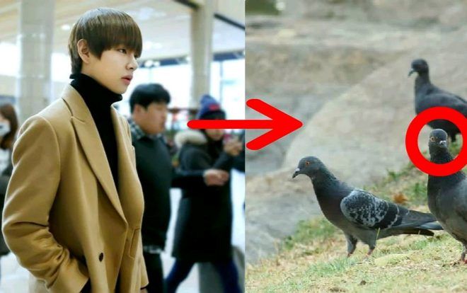 V (BTS) và những tưởng tượng về chính mình trong 10 năm tới