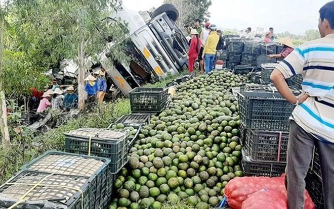 Xe tải chở hàng tấn trái cây bị lật, người dân cùng nhau thu gom giúp tài xế