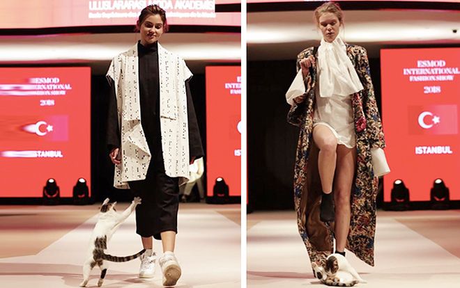 Cười té ghế với những ngài Boss hiên ngang chiếm trọn spotlight trên sàn diễn, quấy phá dàn mẫu xịn