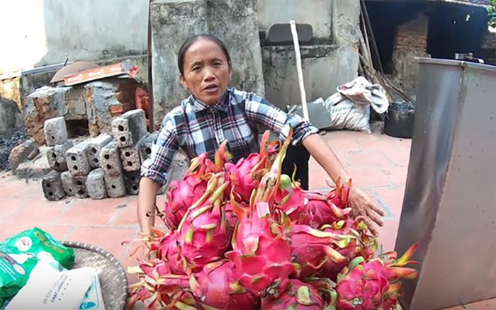 Vì sao cộng đồng mạng ngày càng chán Bà Tân Vlog?